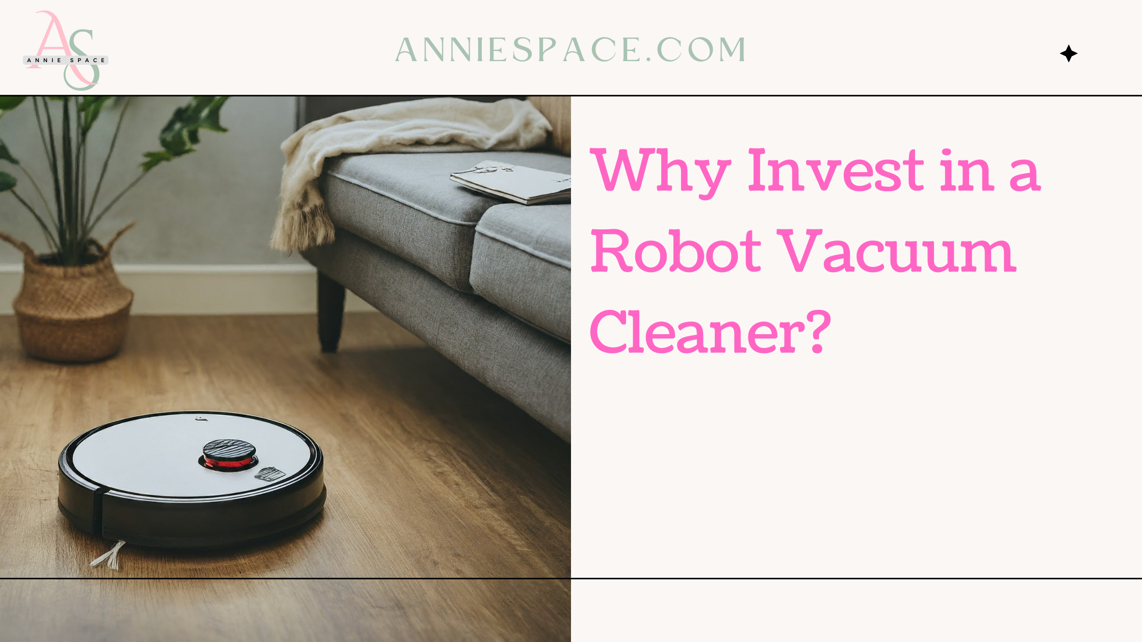 Why Invest in a Robot Vacuum Cleaner?