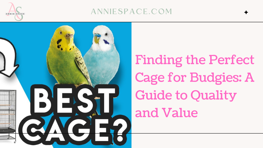 Finding the Perfect Cage for Budgies: A Guide to Quality and Value