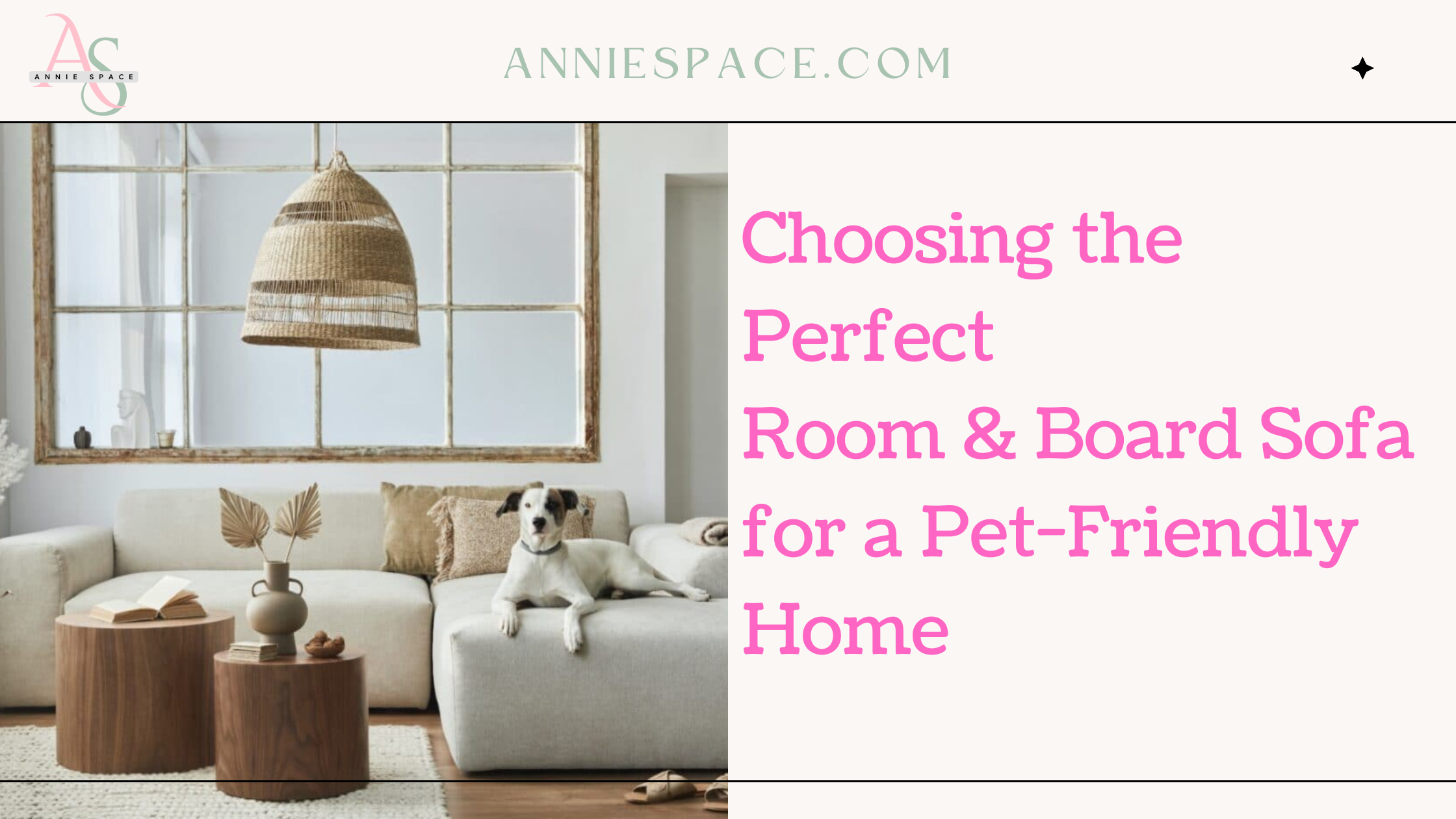 Choosing the Perfect Room & Board Sofa for a Pet-Friendly Home