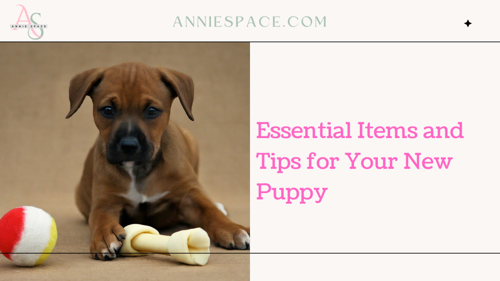 Essential Items and Tips for Your New Puppy