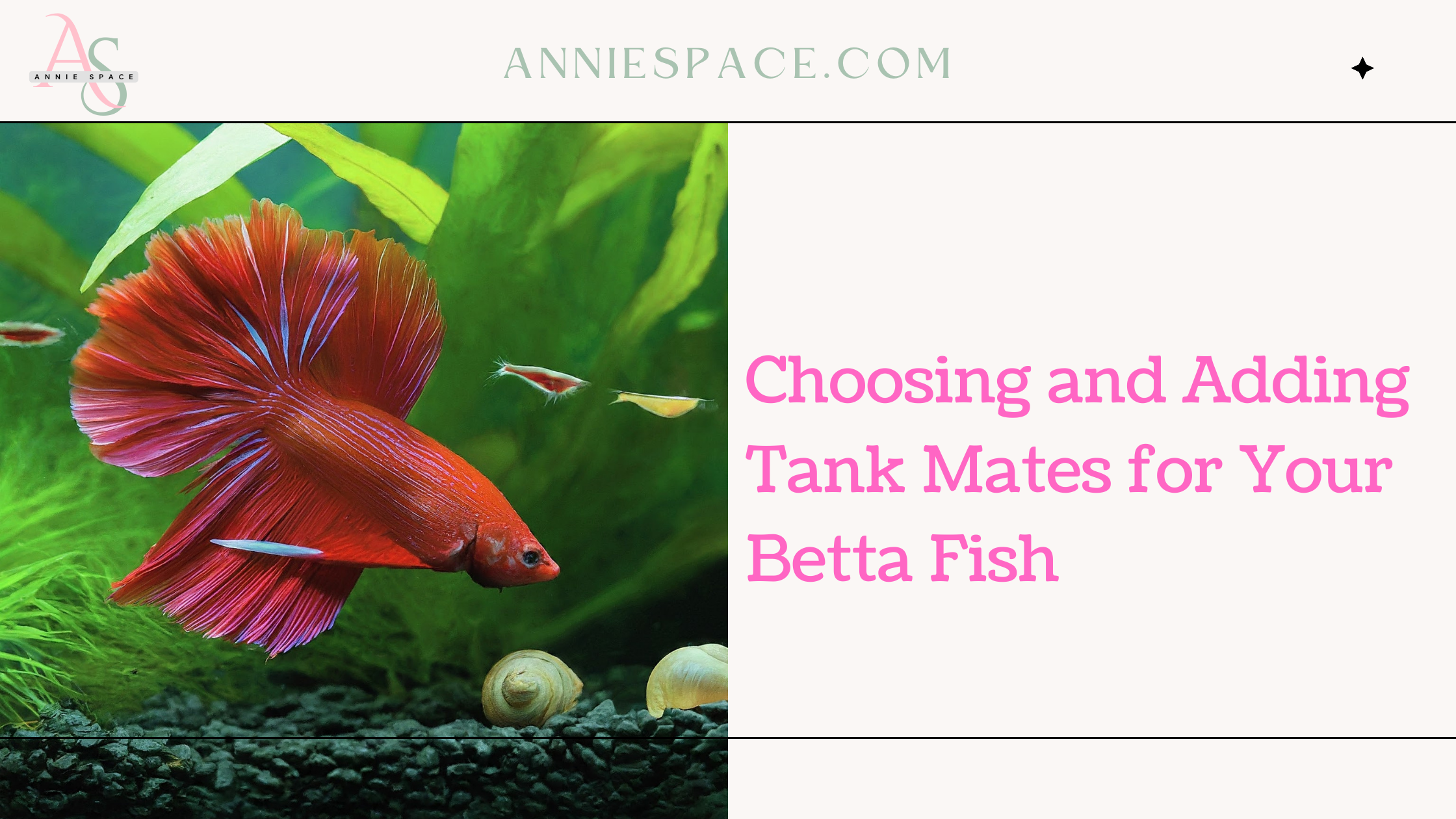 Choosing and Adding Tank Mates for Your Betta Fish