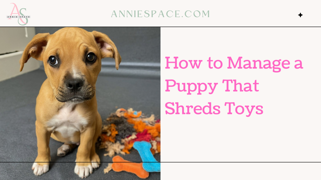 How to Manage a Puppy That Shreds Toys