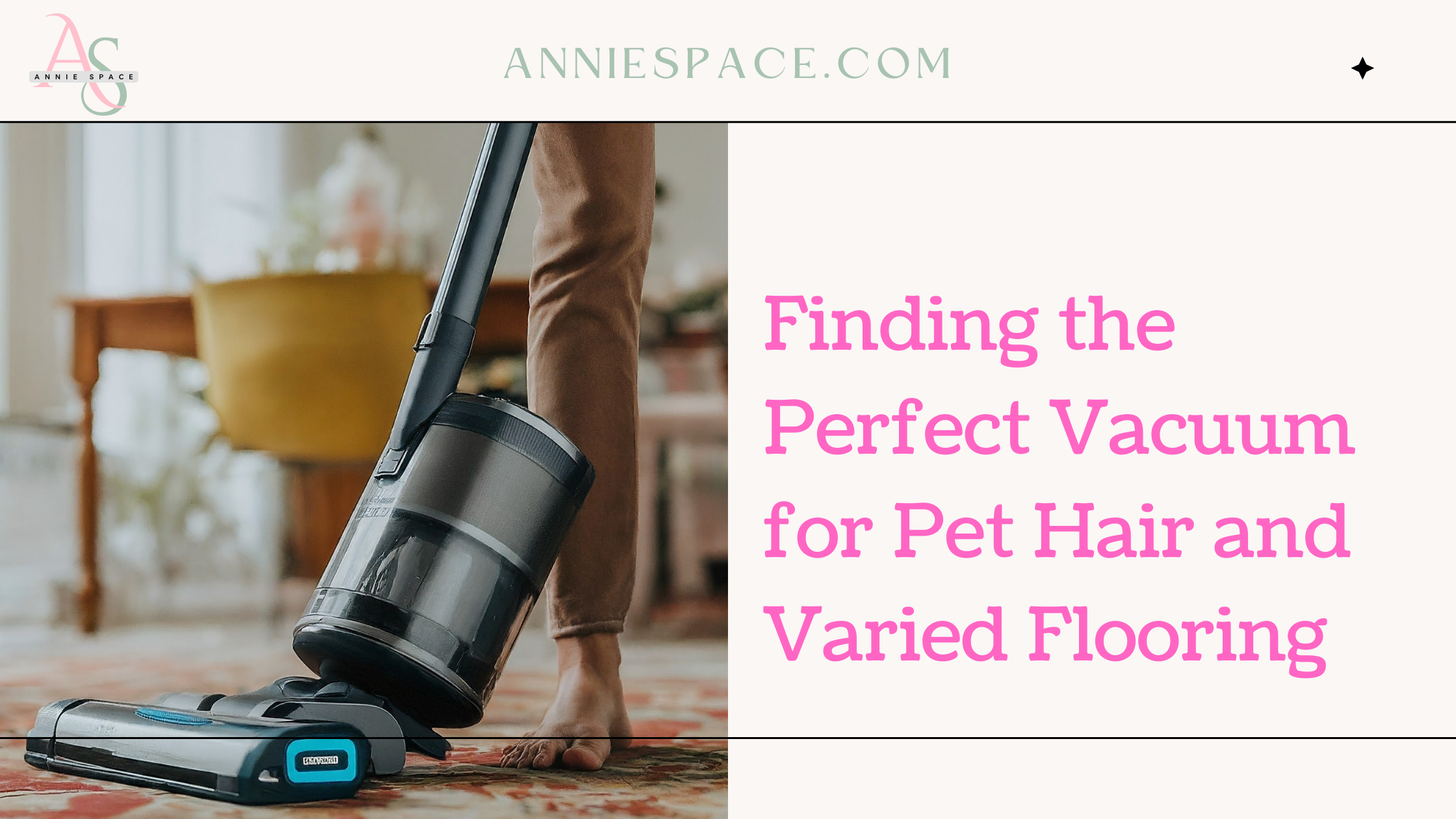 Finding the Perfect Vacuum for Pet Hair and Varied Flooring