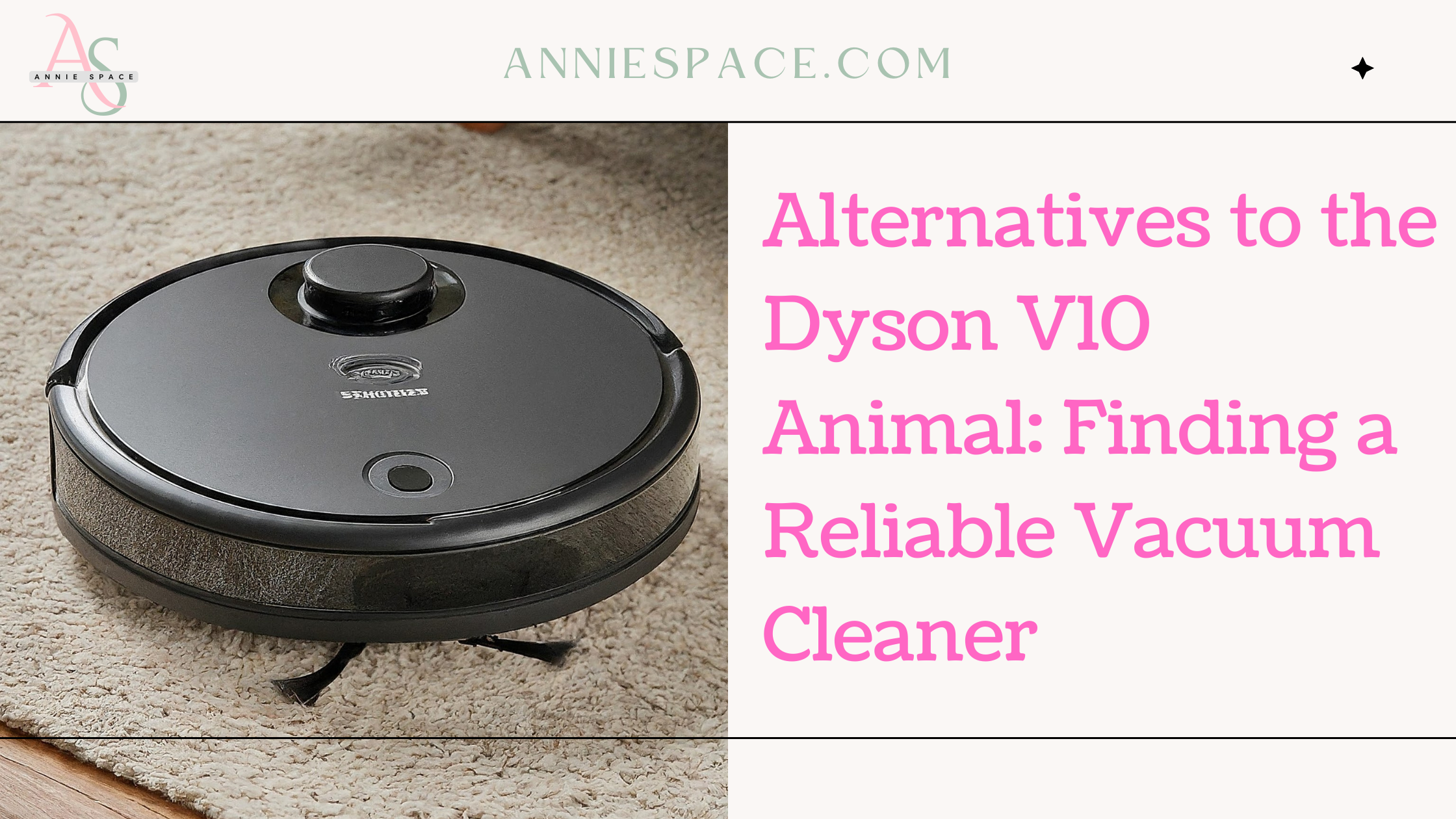 Alternatives to the Dyson V10 Animal: Finding a Reliable Vacuum Cleaner