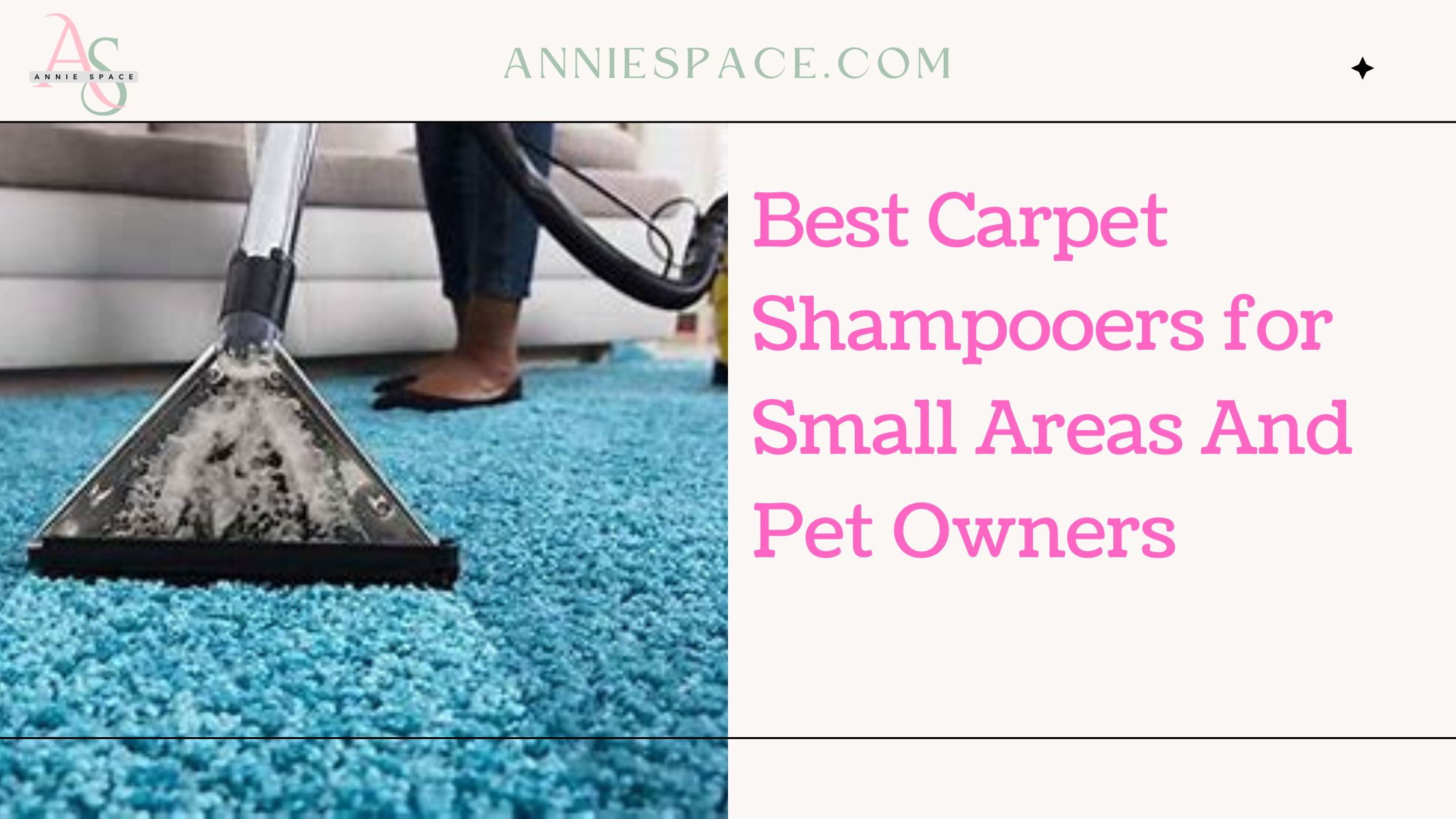 Best Carpet Shampooers for Small Areas And Pet Owners