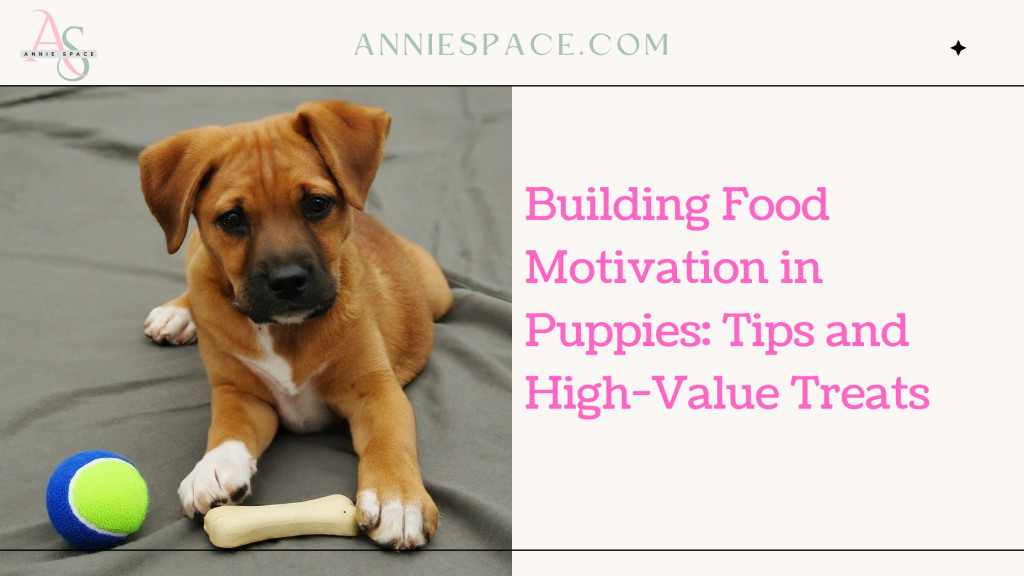 Building Food Motivation in Puppies Tips and High-Value Treats