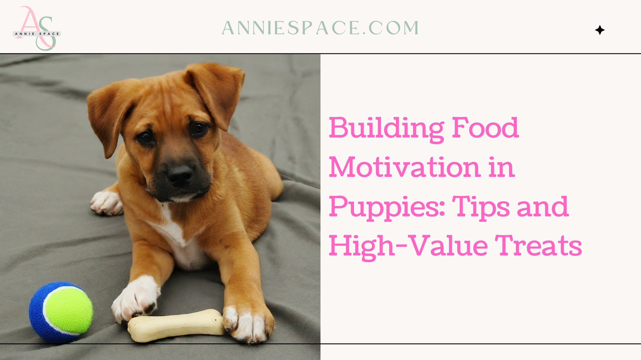 Building Food Motivation in Puppies: Tips and High-Value Treats