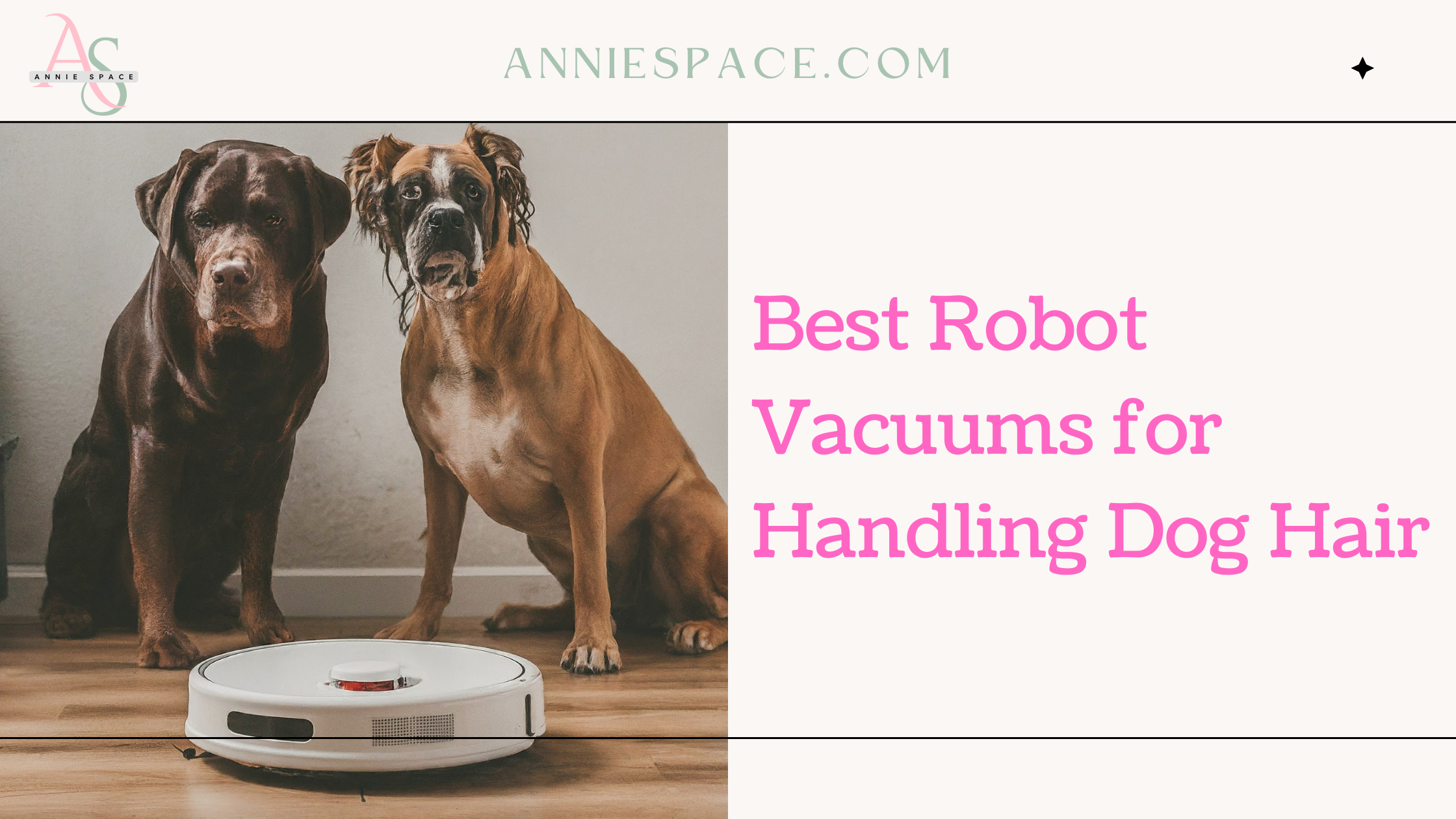 Best Robot Vacuums for Handling Dog Hair