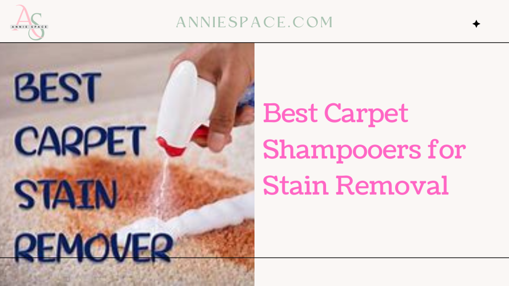 Best Carpet Shampooers for Stain Removal