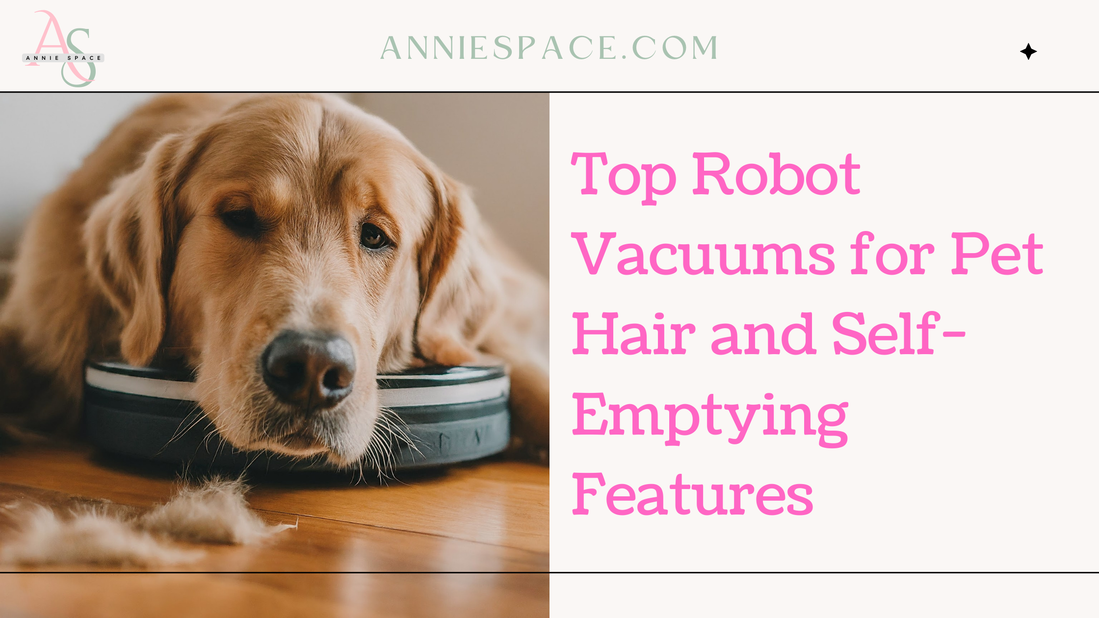 Top Robot Vacuums for Pet Hair and Self-Emptying Features